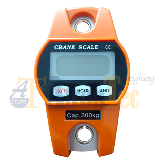 300kg Capacity LCD Display Electronic Crane Scale